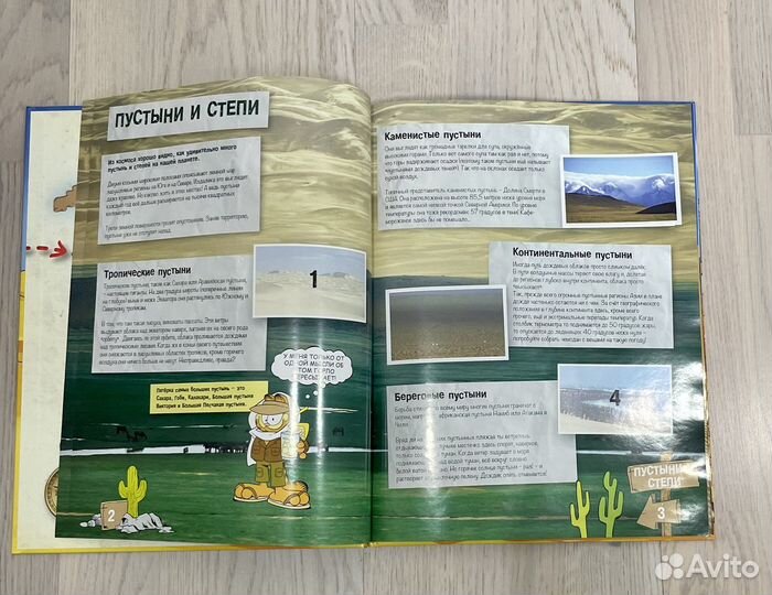 Стикермания пустыни и степи