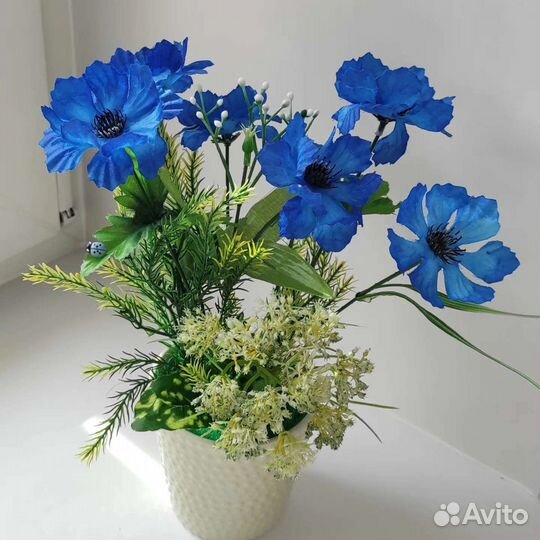 Васильки полевые цветы