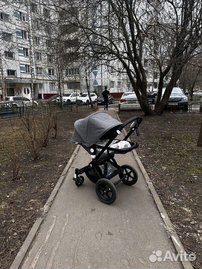 Коляска bugaboo cameleon 3