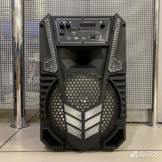 Колонка караоке FS-080131