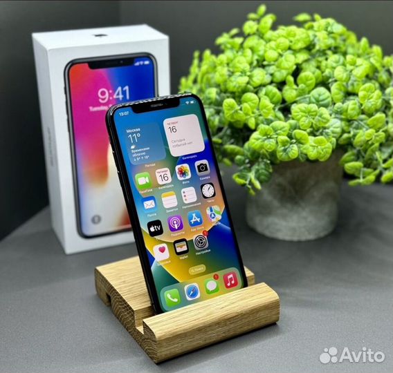iPhone X, 256 ГБ