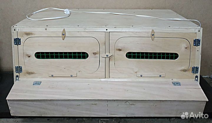 Брудер для цыплят