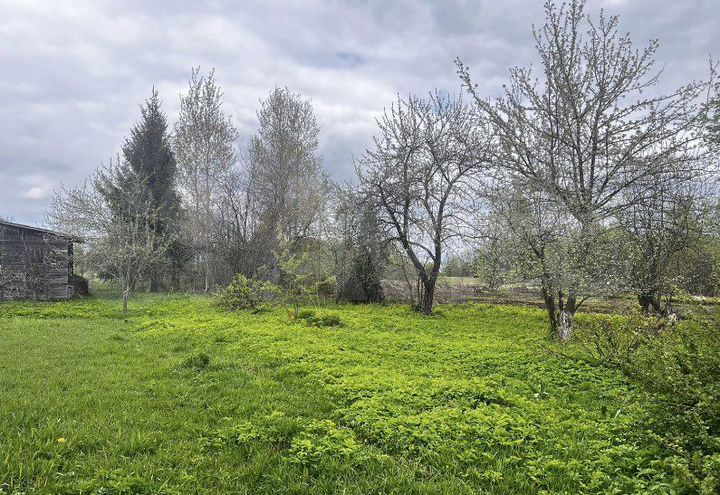 Дом 40 м² на участке 50 сот.