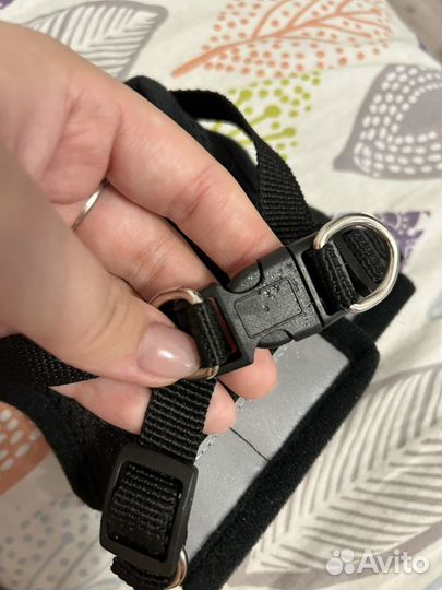 Куртка для собак мелких пород и шлейка