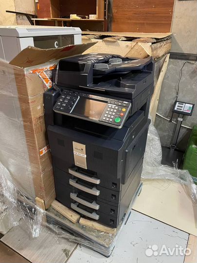 Kyocera taskalfa 250 сi мфу лазерный цветной А3/А4