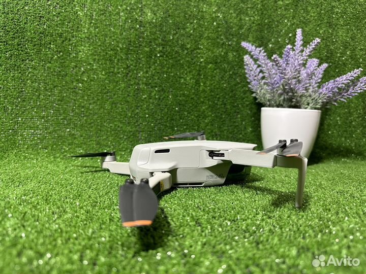 Квадрокоптер dji mini 2