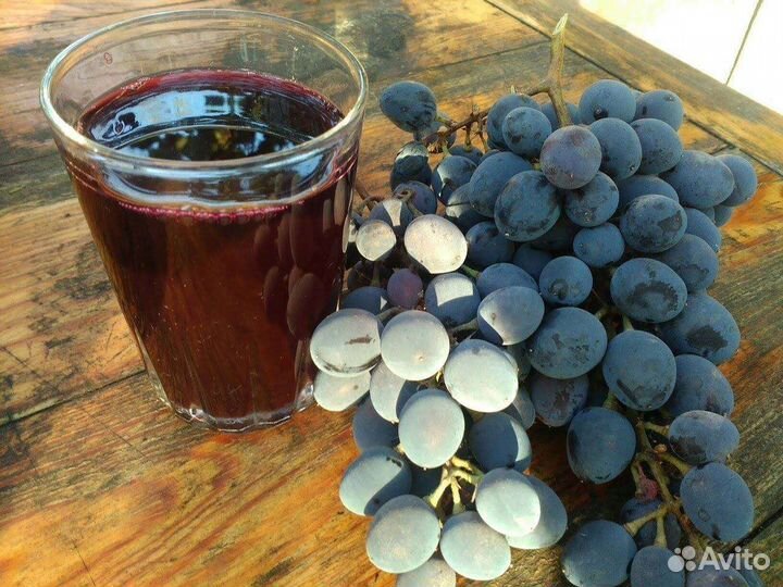 Виноградное сусло