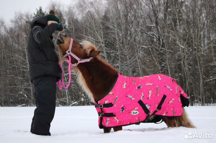 Попона для пони