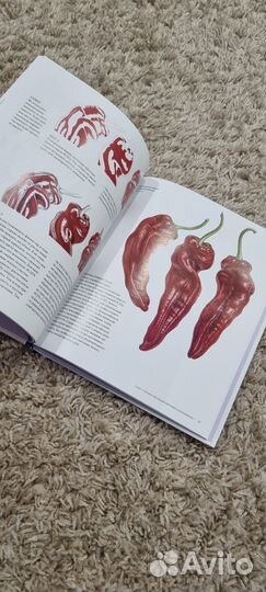 Ботаническая иллюстрация Энн Свон+творческие книги