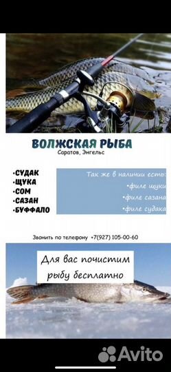 Свежая речная рыба, филе