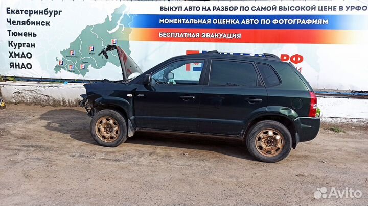 Стекло двери задней правой Hyundai Tucson (JM) 834