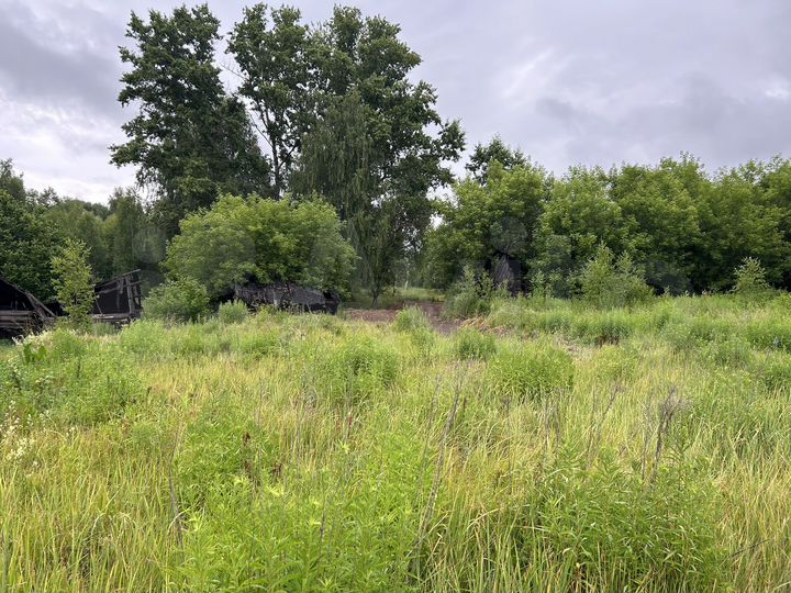 Участок 10 сот. (ИЖС)