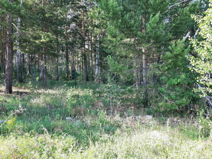 Участок 16 сот. (СНТ, ДНП)