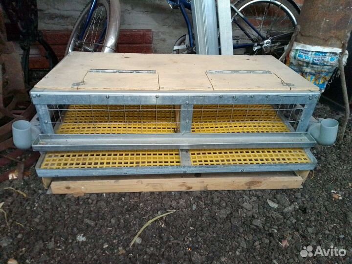 Клетка для перепёлок