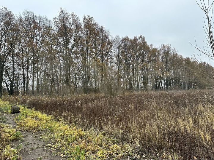 Участок 8 сот. (ИЖС)