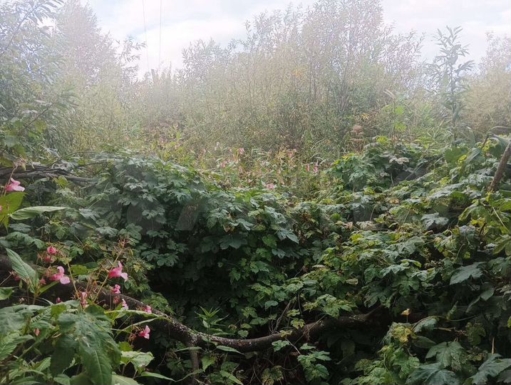 Участок 6,9 сот. (СНТ, ДНП)