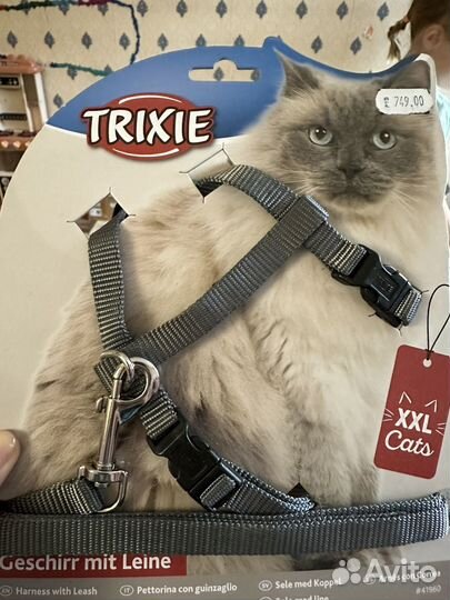 Шлейка поводок для кошки