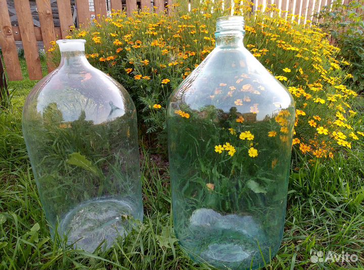 Бутыль стеклянный 20 литров