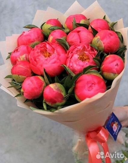 Пионы Розы Доставка