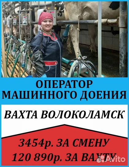 Оператор машинного доения Вахта в Волоколамск