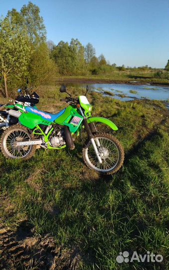 Kawasaki kdx