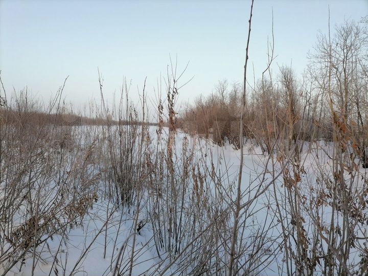 Участок 27,8 сот. (ИЖС)