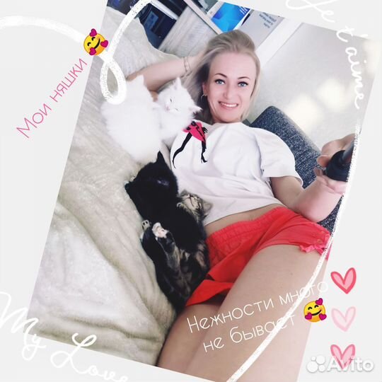 Котята 1,5 месяца