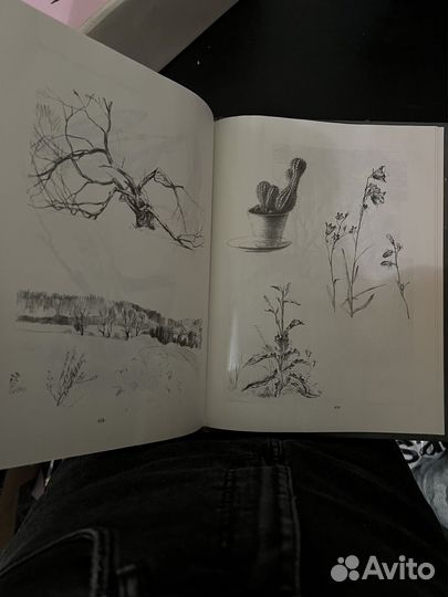 Основы академического рисунка Николай Ли