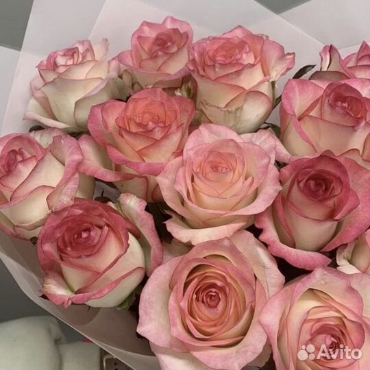 Букет из 15 роз сорта «Джумилия»