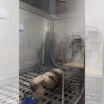 Промывка сажевого фильтра и катализаторов, Кропоткин