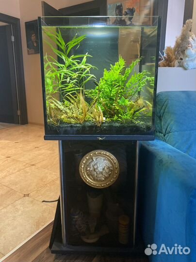 Аквариум с тумбой