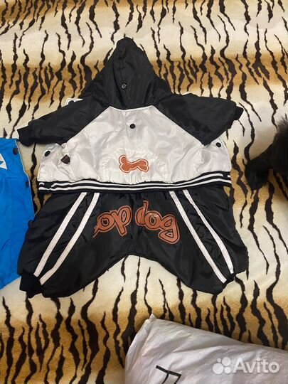 Костюмы для собаки