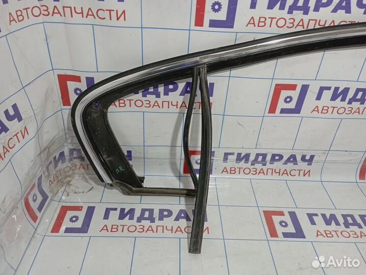 Наклдака двери задней правой Volkswagen Passat (B6) 3C5839432G5AP