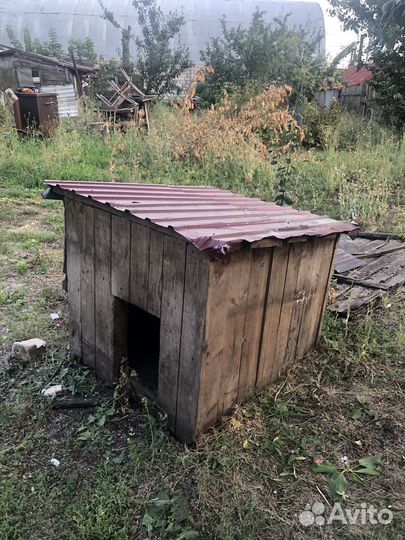 Будка для собаки