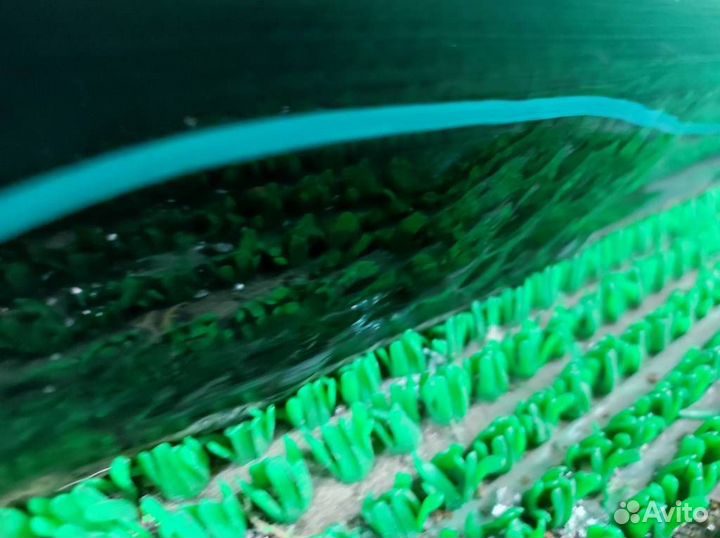 Дверь задняя левая Nissan Tiida 2008