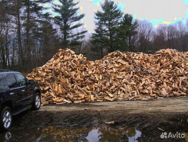 Дрова в СПБ