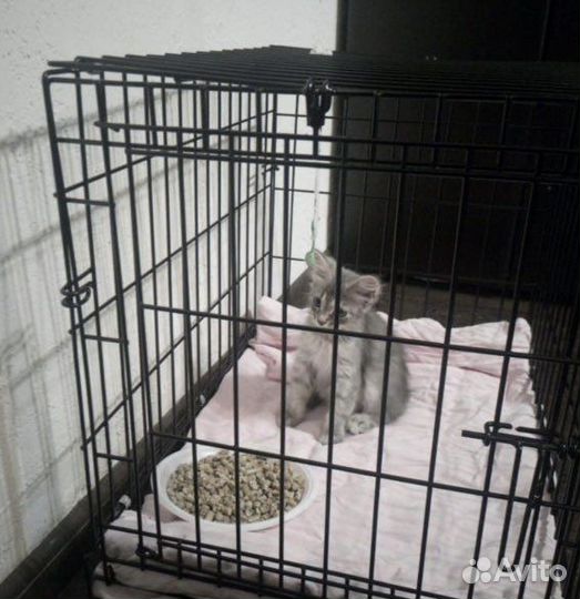 Клетка для животных