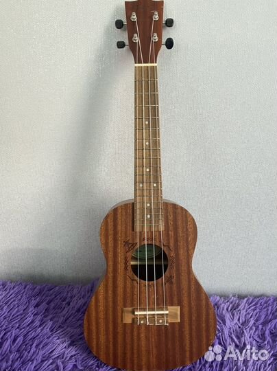 Укулеле Flight концерт