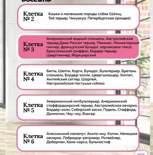 Аренда клетки для собак