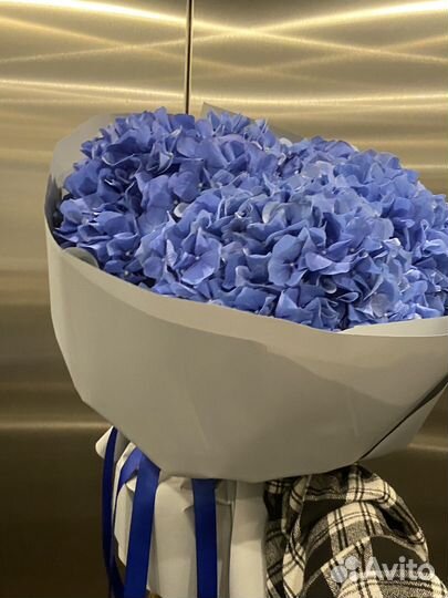 Гортензии букет Цветы Бесплатная доставка