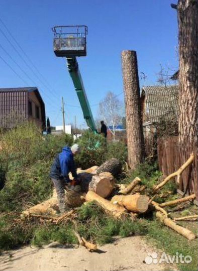 Спил деревьев. Благоустройство участка. Самовывоз