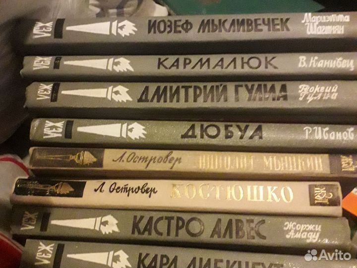 Книги из серии жзл