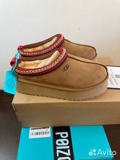 Ugg tazz(Оригинал)