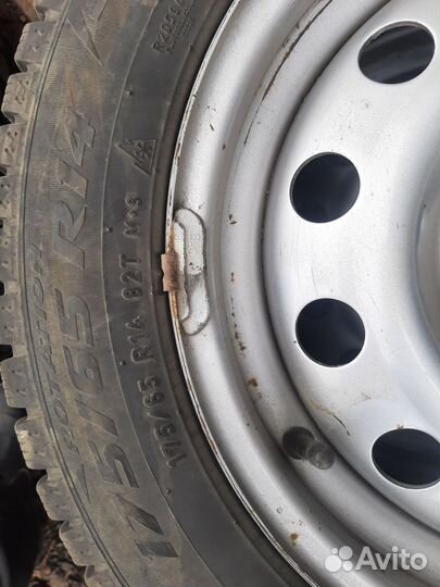 Pirelli Ice Zero 175/65 R14