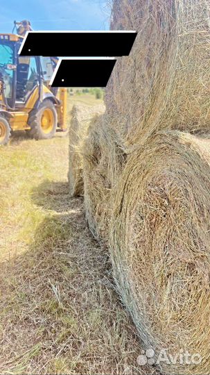 Сено,рулонный тюк