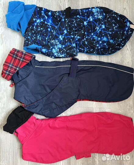 Комбинезон весенний на собаку уиппет плащ