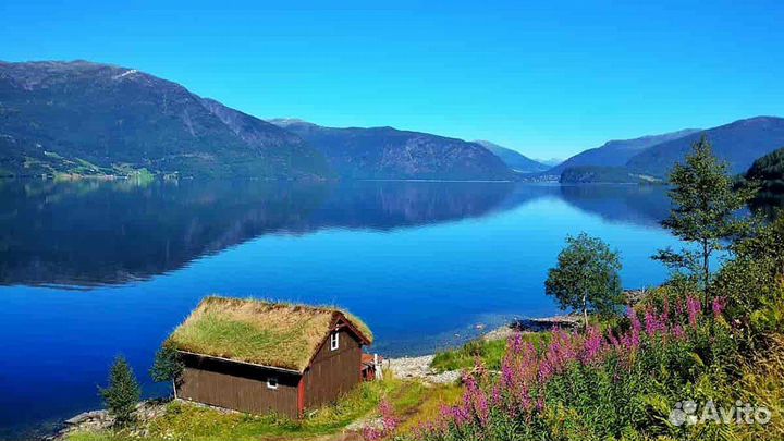 Трансфер в Териберку + экскурсия