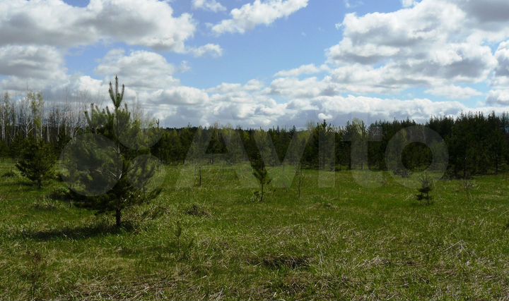 Участок 100 сот. (СНТ, ДНП)