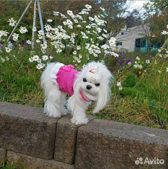 Микро девочки