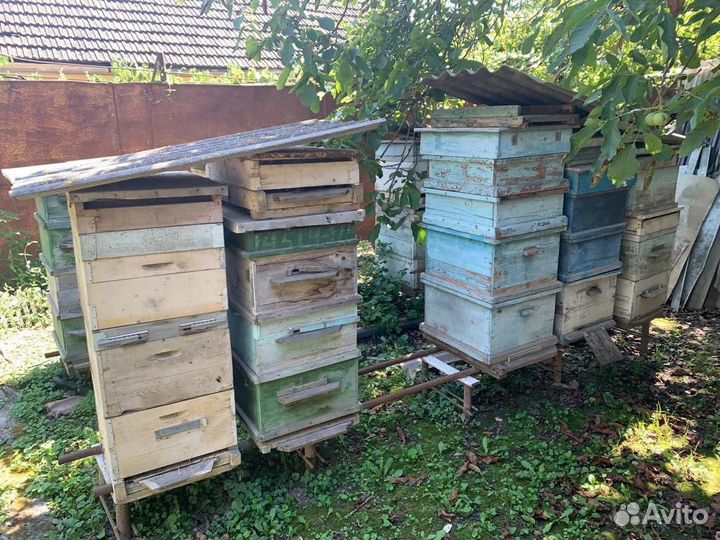 Улей для пчел бу